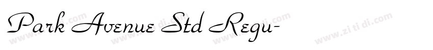 Park Avenue Std Regu字体转换